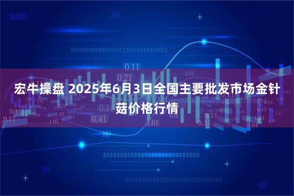 宏牛操盘 2025年6月3日全国主要批发市场金针菇价格行情