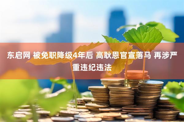 东启网 被免职降级4年后 高耿恩官宣落马 再涉严重违纪违法