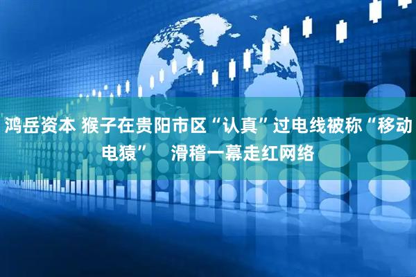 鸿岳资本 猴子在贵阳市区“认真”过电线被称“移动电猿”    滑稽一幕走红网络
