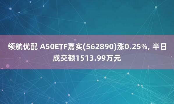 领航优配 A50ETF嘉实(562890)涨0.25%, 半日成交额1513.99万元