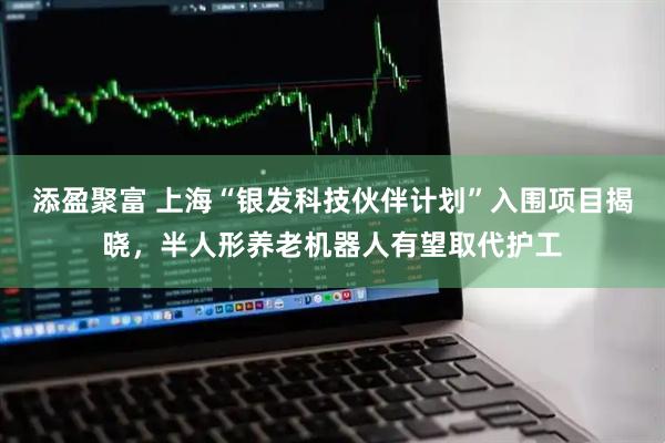添盈聚富 上海“银发科技伙伴计划”入围项目揭晓，半人形养老机器人有望取代护工