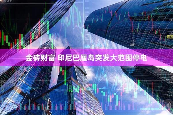 金砖财富 印尼巴厘岛突发大范围停电