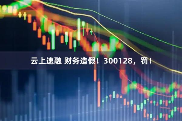 云上速融 财务造假！300128，罚！